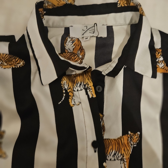 NWOT. Cute And Elegant Striped Long Dress with Tiger Print. Size M. - Picture 5 of 8